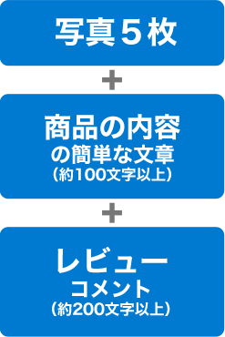 写真５枚+商品の内容の簡単な文章（約100文字以上）+レビューコメント（約200文字以上）