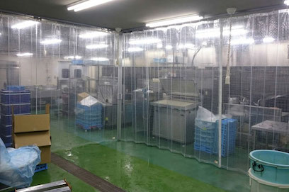 ジャバラカーテンの工場設置例