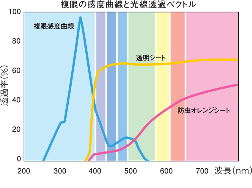 複眼の感度曲線と光線透過ベクトル