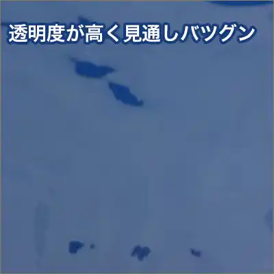 ②透明ビニール　スカイクリア0.5t