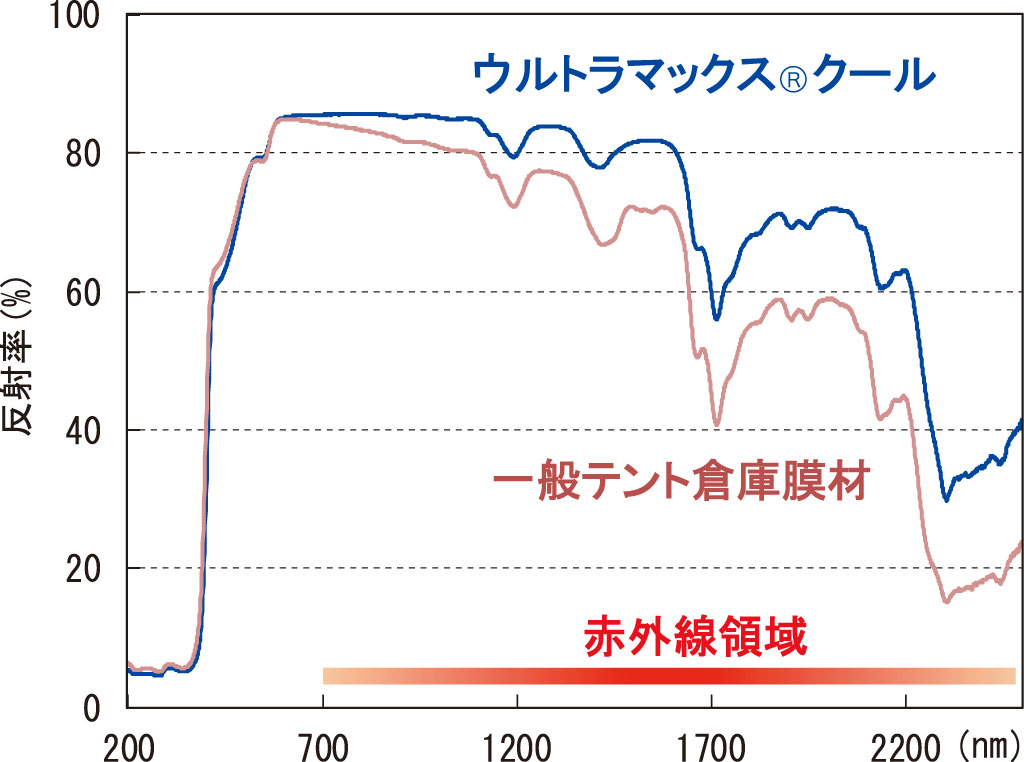 ウルトラマックスクール詳細1